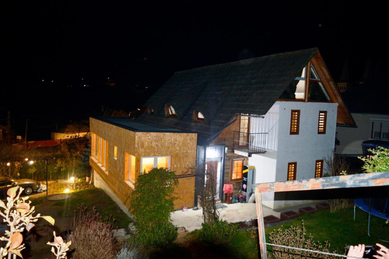 Hotel Casa Cu Magnolii Poienile Izei Exterior foto
