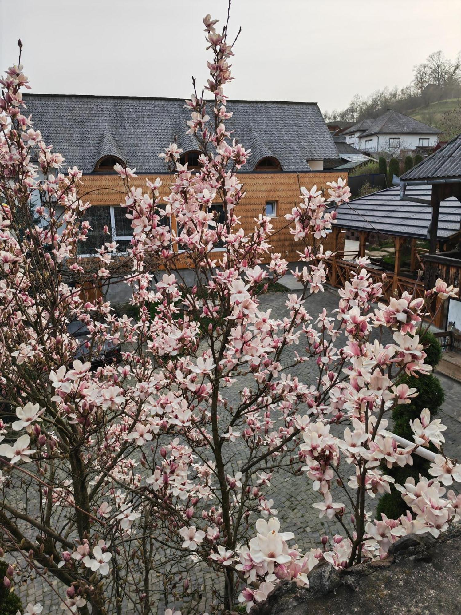 Hotel Casa Cu Magnolii Poienile Izei Exterior foto