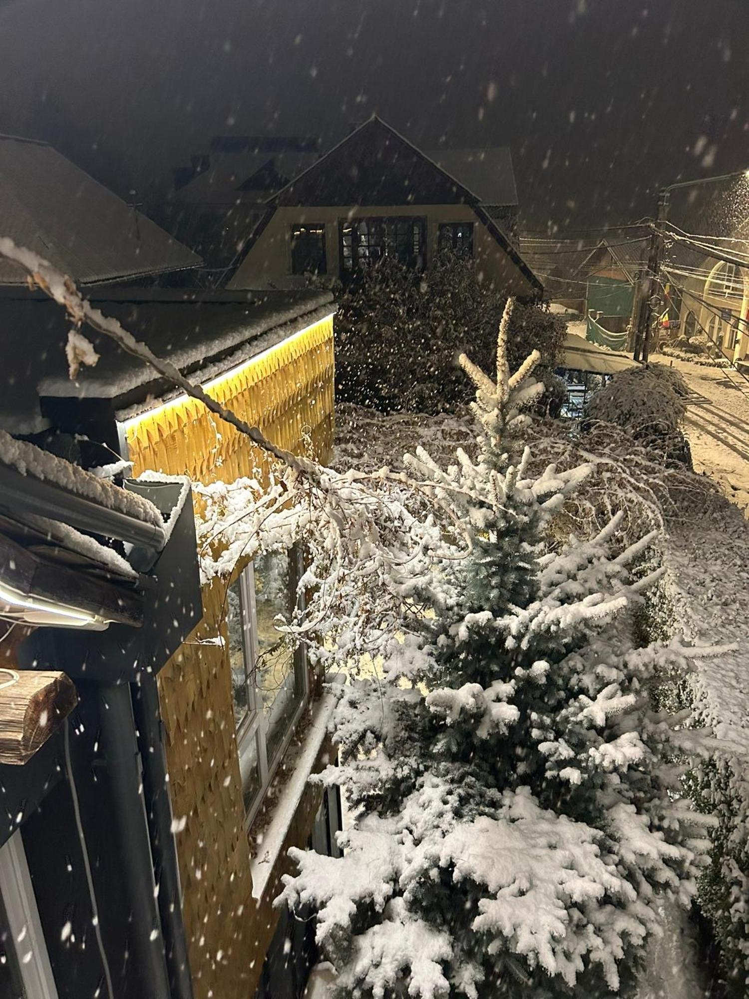 Hotel Casa Cu Magnolii Poienile Izei Exterior foto